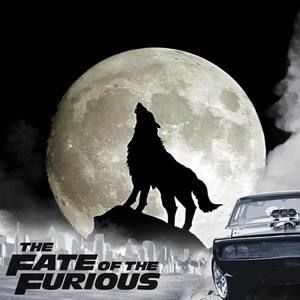 Meet your Posher, Hoai viet